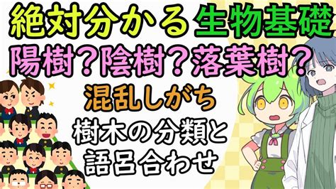 松 陽樹|生物マツって陽樹だったんですか？今までマツは陰樹だとおもっ。